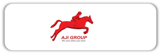 aji group-extensive